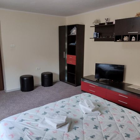 Mario'S Cozy Apartment Râșnov Zewnętrze zdjęcie