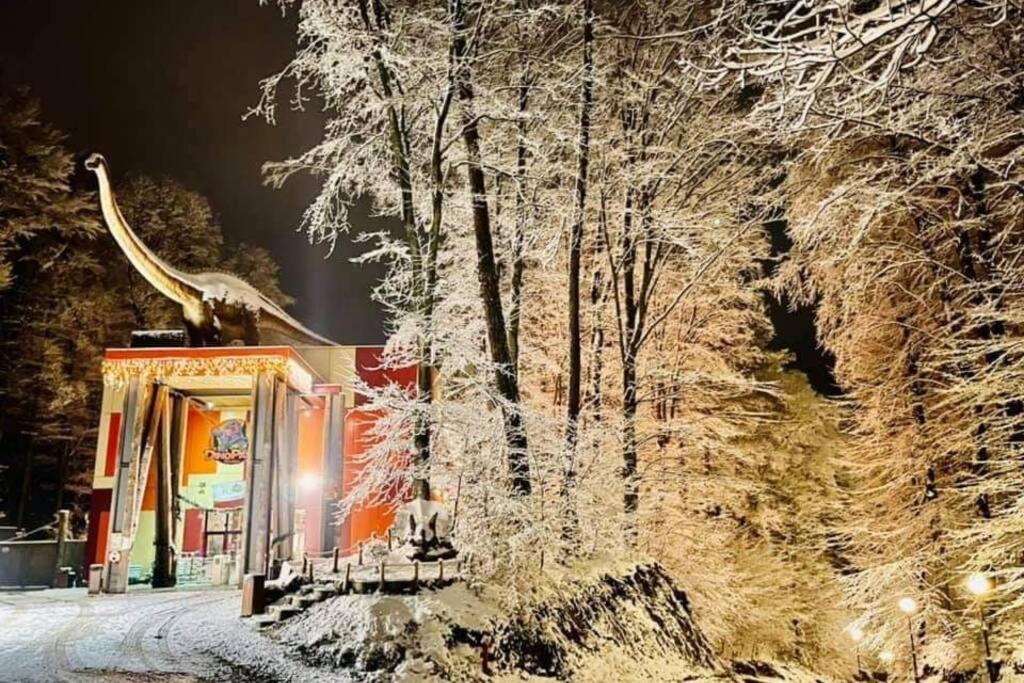 Mario'S Cozy Apartment Râșnov Zewnętrze zdjęcie